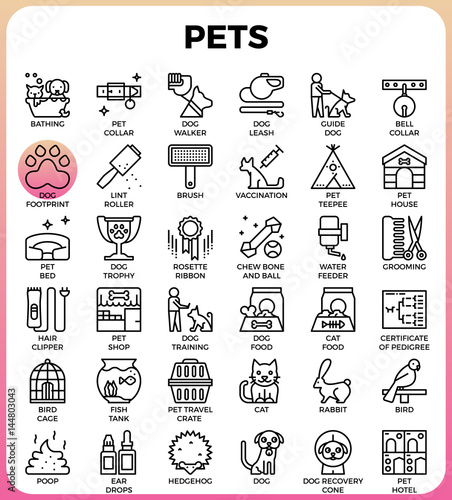 Pets concept detailed line icons