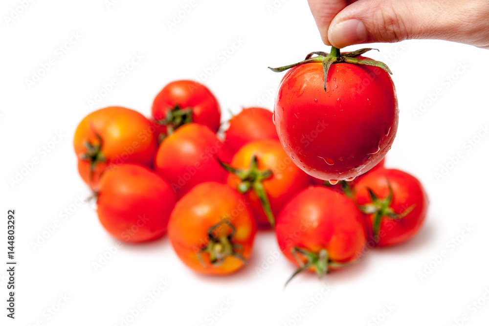 Pick one of tomatoes on white background isolated