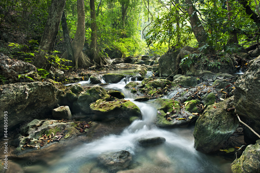 waterfall in deep forest on mountain waterfall in deep forest on mountain