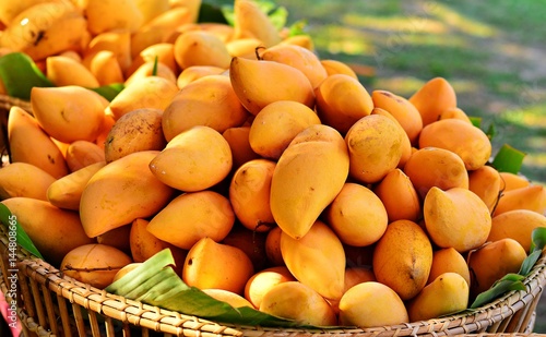 Mango basket in the background blur. The focus on the front