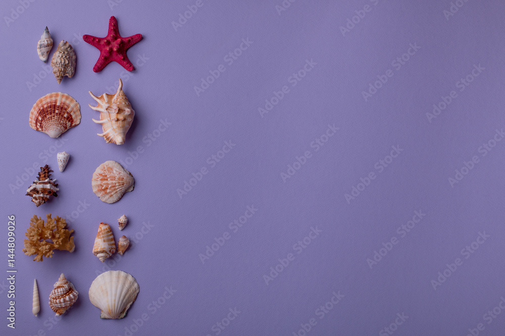 Obraz premium Seashells on purple