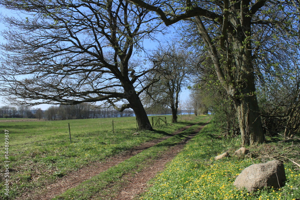 Frühling in Mecklenburg / Feldweg am Krakower See Frühling in Mecklenburg / Feldweg am Krakower See