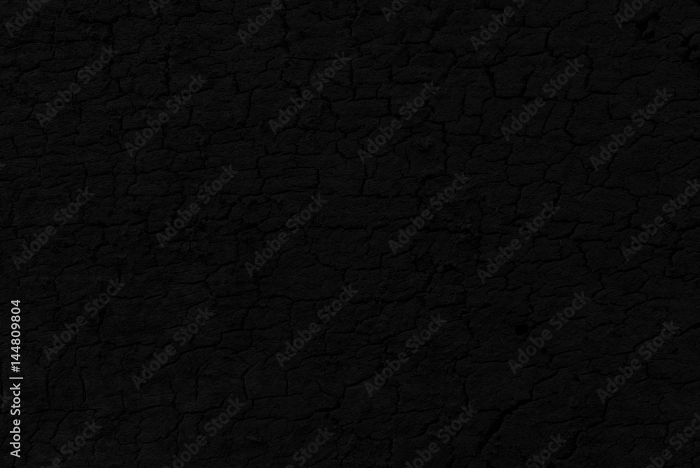 Black Bark Texture Background. Black Bark Texture Background.