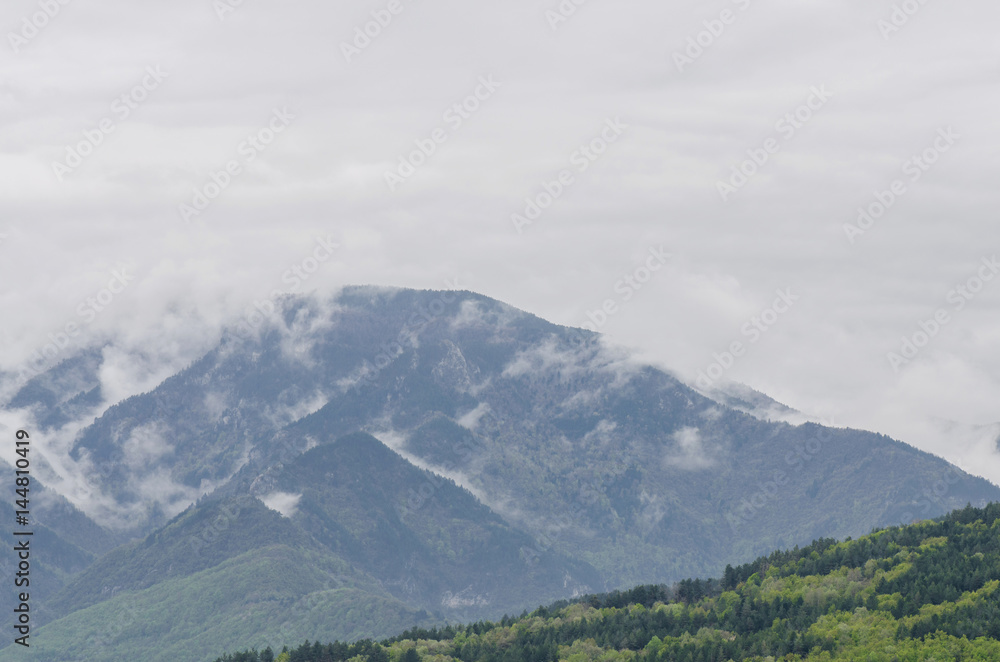 Low Rain Clouds Above Mountain With Pine Tree Forest 