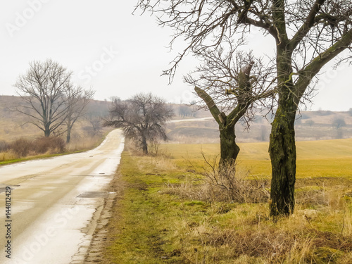 Rural road of Bulgaria by autumn