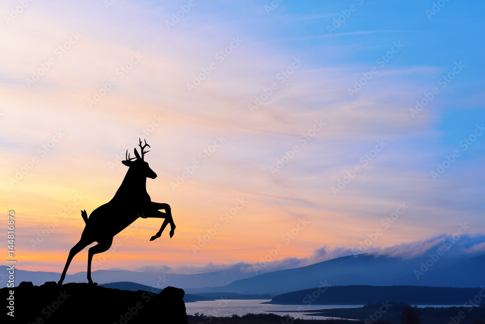 Naklejka premium Deer on mountain at sunset