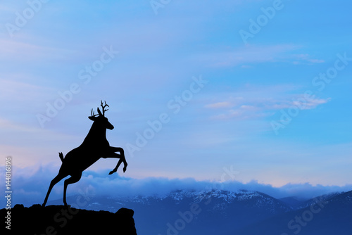 Deer on mountain at sunset