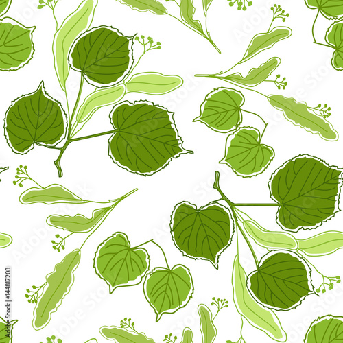 Seamless pattern with blossoming linden tree branches on a white background,  flowers of linden tree.