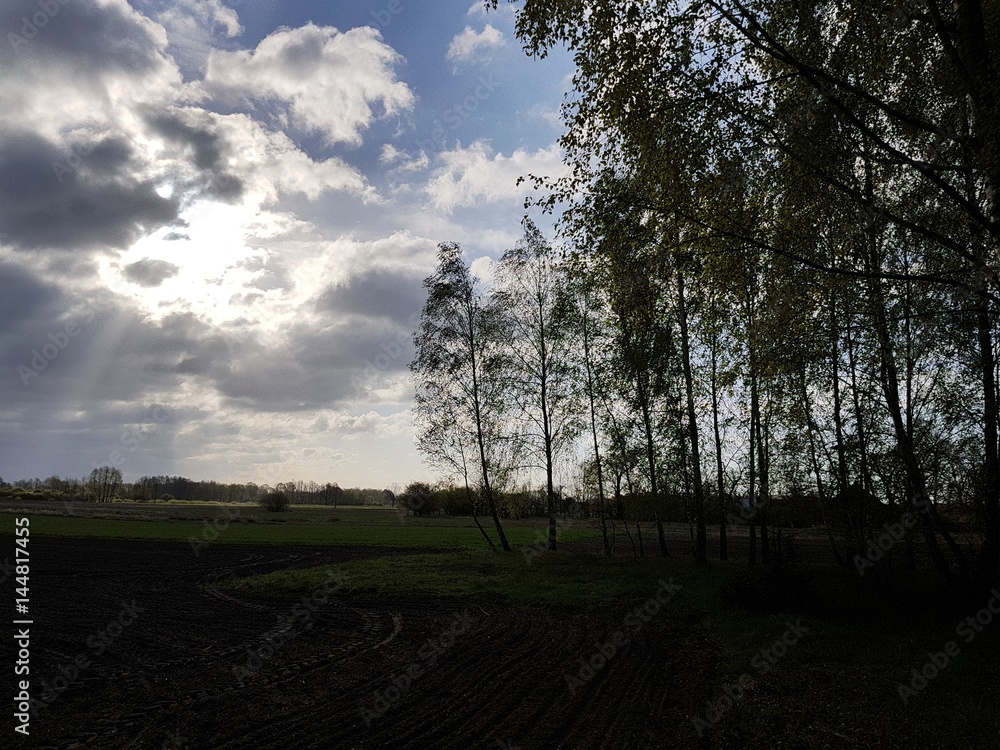 Fototapeta premium Pochmurno