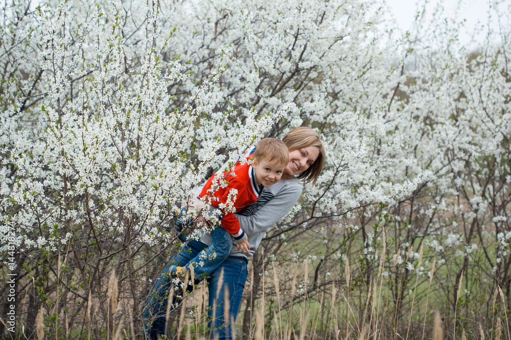 mother and son joyfully and cheerfully with smiles look out for the blossoming cherry blossoms mother and son joyfully and cheerfully with smiles look out for the blossoming cherry blossoms