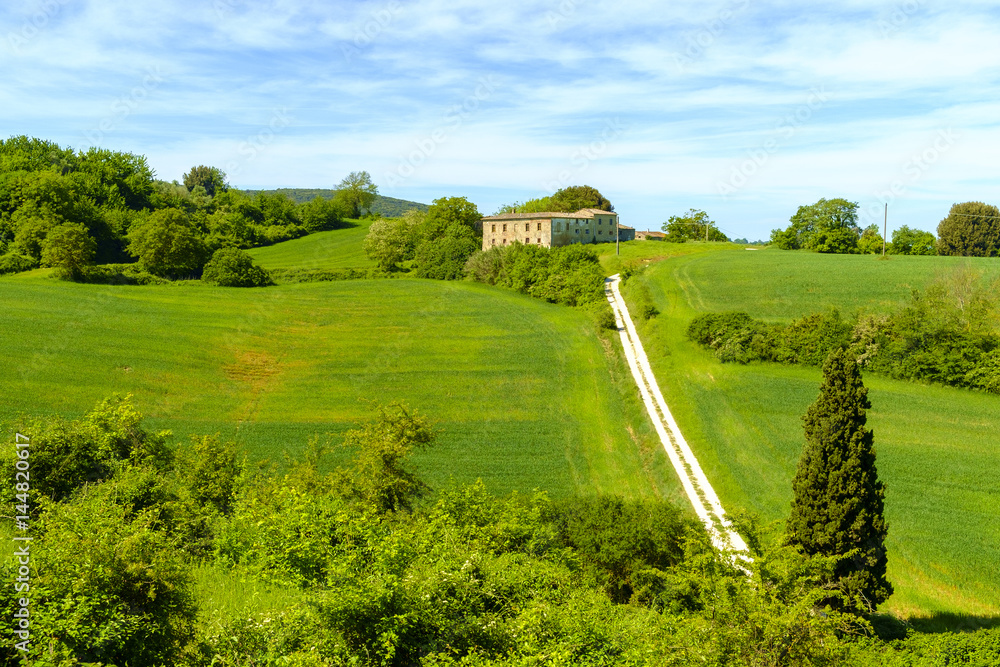 Countryside landscape around Monteriggioni in Tuscany Italy