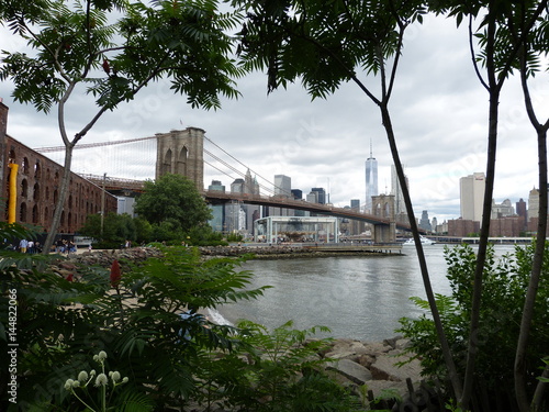 New York Skyline