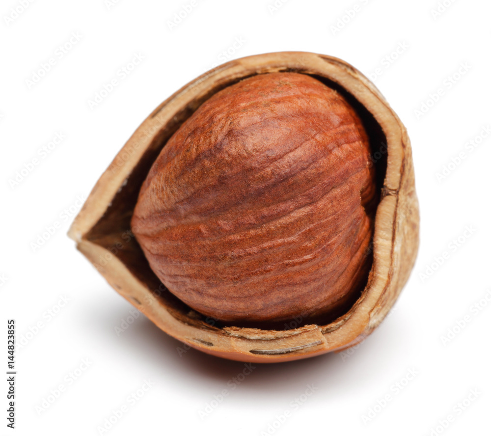 Hazelnut Hazelnut