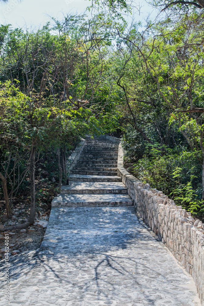Stone and Cement Path and Steps Into Jungle