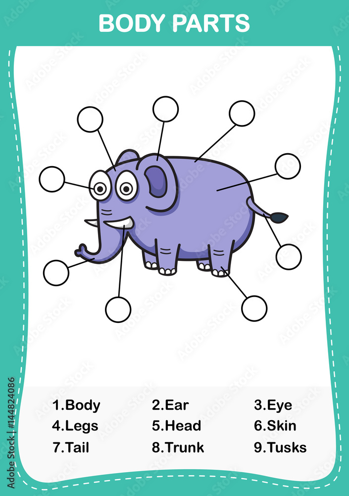 Illustration of elephant vocabulary part of body,Write the correct numbers  of body parts Stock Vector | Adobe Stock