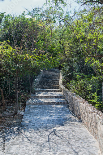 Stone and Cement Path and Steps Into Jungle