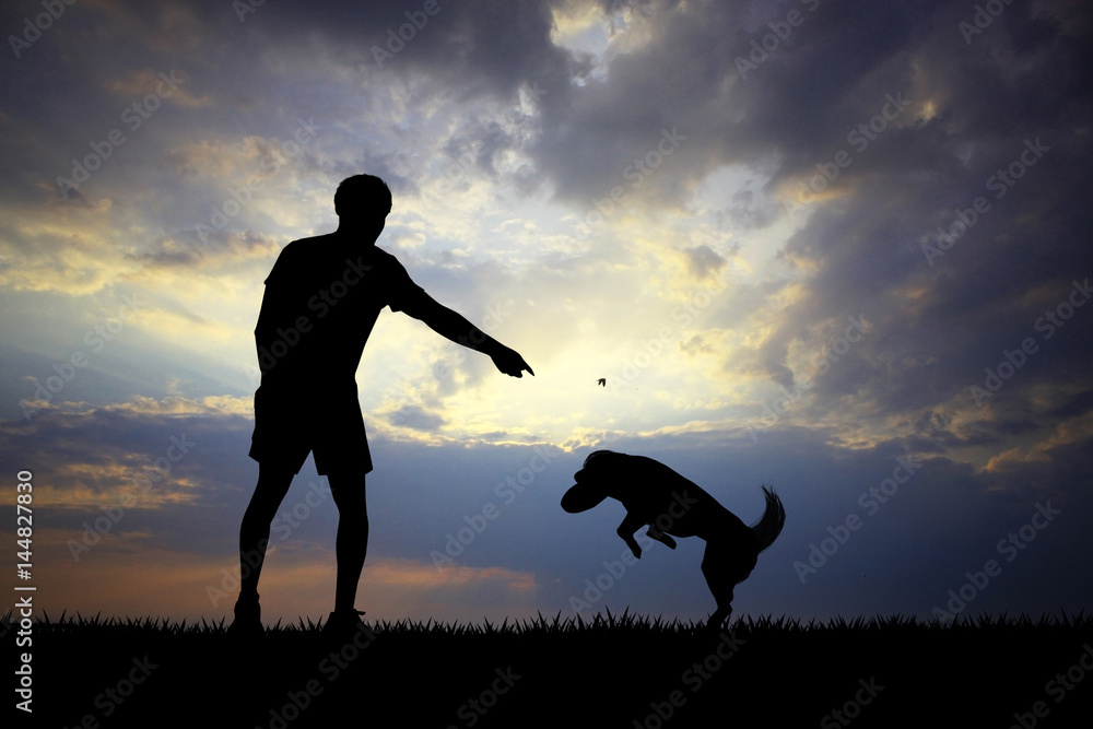 man and dog silhouette at sunset