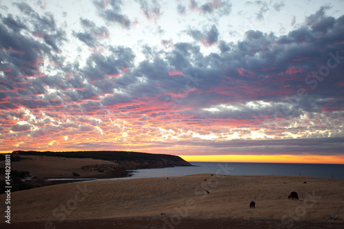 Scenic view of beautiful sunset on Kangaroo Island, South Australia.