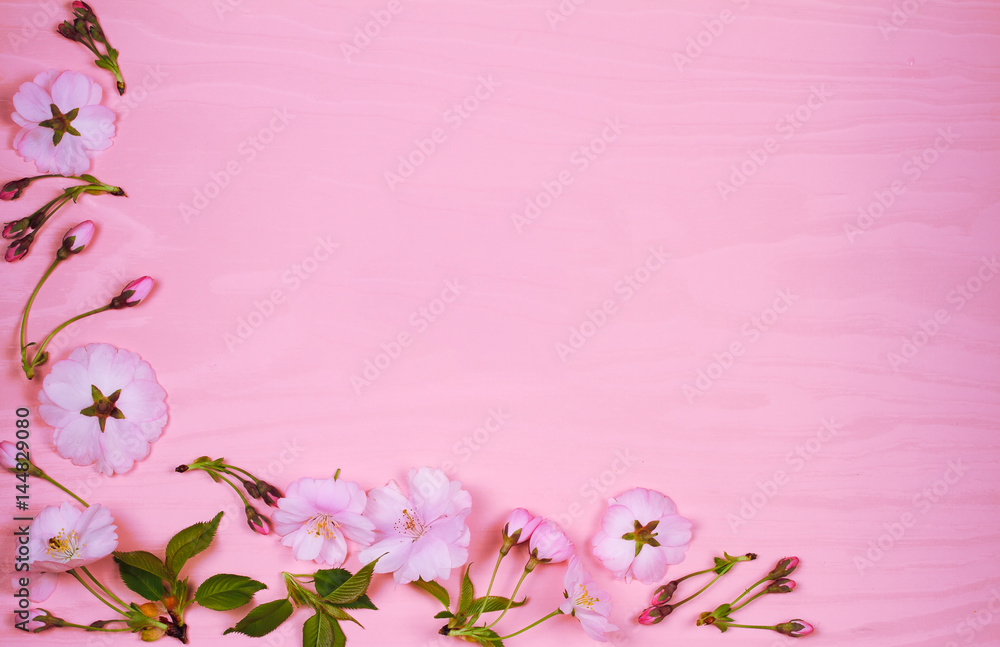 Flower frame on pink wooden background. Springtime blooming. Spring flowers. Top view with copy space. Flat lay Flower frame on pink wooden background. Springtime blooming. Spring flowers. Top view with copy space. Flat lay