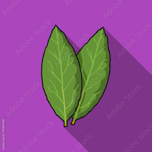 Laurus icon in flat style isolated on white background. Herb an spices symbol stock vector illustration.