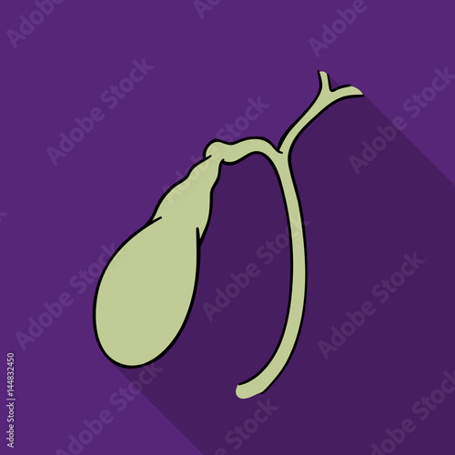 Human gallbladder icon in flat style isolated on white background. Human organs symbol stock vector illustration.