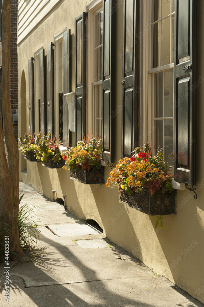 Fototapeta premium Row of windows with window boxes full of flowers on old city house in Charleston, SC, USA
