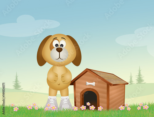 dog and kennel