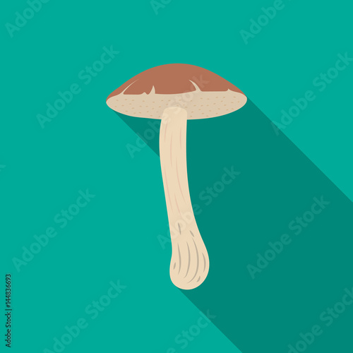 Brown cap boletus icon in flat style isolated on white background. Mushroom symbol stock vector illustration.