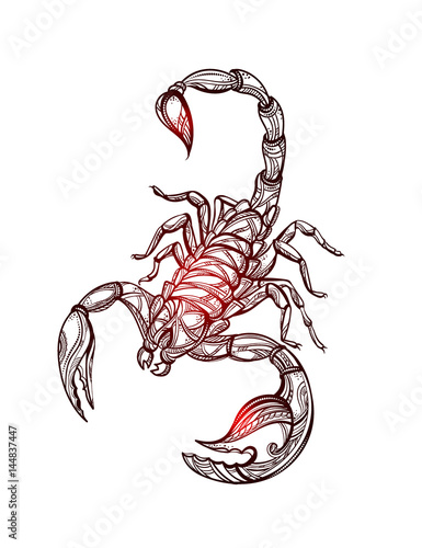 vector Scorpion tattoo