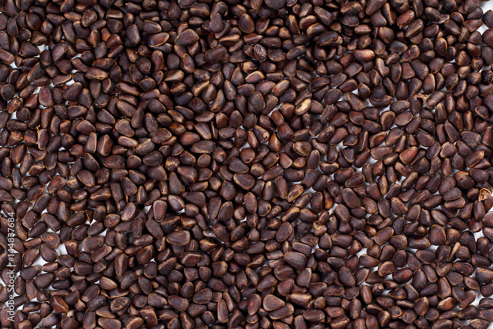 scattering of pine nuts scattering of pine nuts