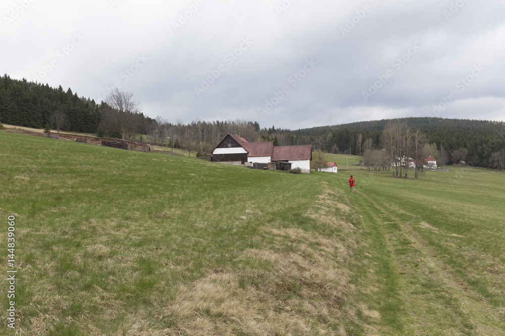 Obraz premium Beautiful Wilderness from the spring Mountains Sumava in southern Czech