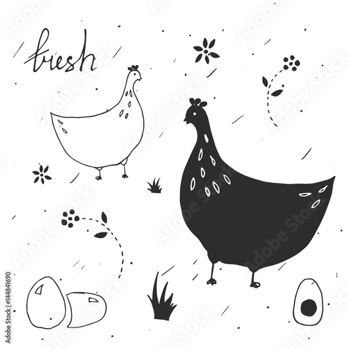 Set of design elements for egg packaging.
