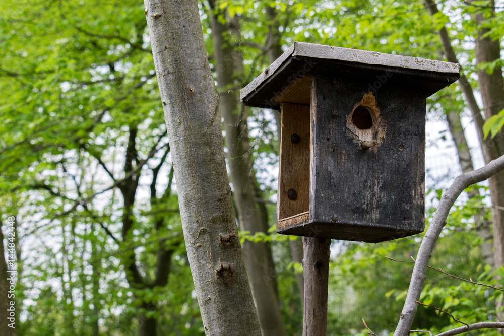 Wooden birdhouse hanging on a tree background Wooden birdhouse hanging on a tree background