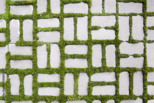 pattern with a sprouted grass III