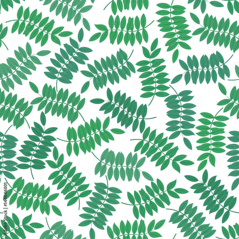 Green leaves isolated on white. Seamless pattern. Vector background for your design. Green leaves isolated on white. Seamless pattern. Vector background for your design.