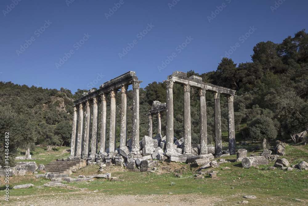 Fototapeta premium Temple of Zeus Lepsinos Euromus Turkey