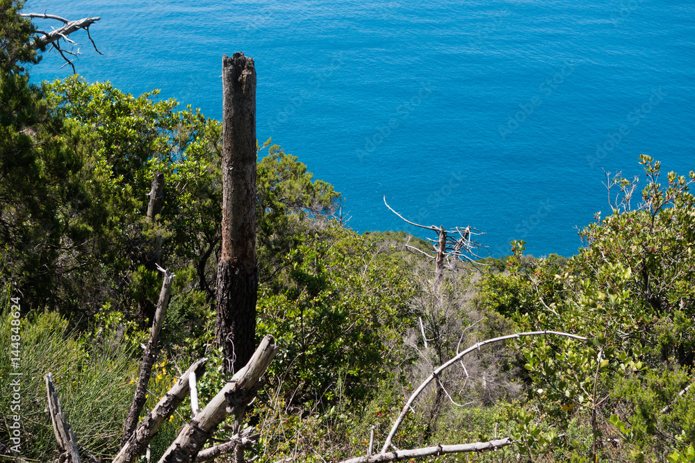 Fototapeta premium Küstenwanderweg Cinque Terre