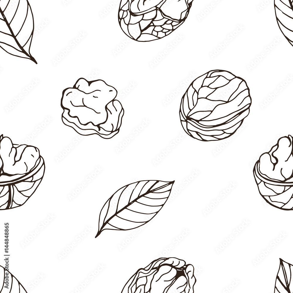 Nut seamless on white background. Hand drawn contour pattern with walnut. Nut seamless on white background. Hand drawn contour pattern with walnut.