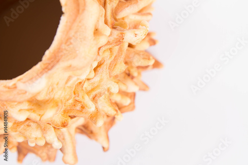 Polish-Lithuanian traditional spit cake ('tree cake') -sekacz (polish) or sakotis (lithuanian) on a white background photo