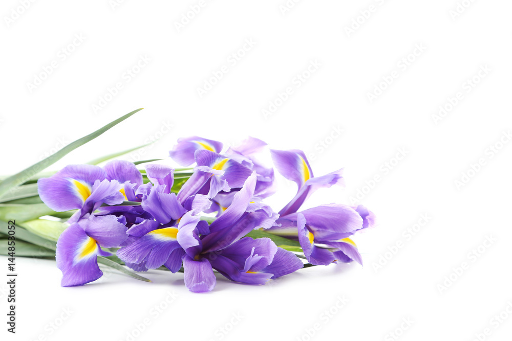 Bouquet of iris flowers isolated on a white Bouquet of iris flowers isolated on a white