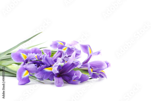 Fototapeta Naklejka Na Ścianę i Meble -  Bouquet of iris flowers isolated on a white