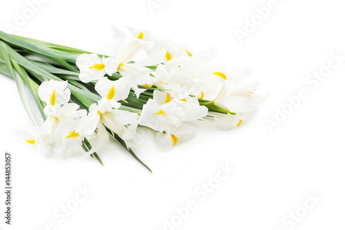 Fototapeta Naklejka Na Ścianę i Meble -  Bouquet of iris flowers isolated on a white