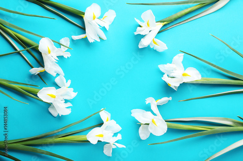 Fototapeta Naklejka Na Ścianę i Meble -  White iris flowers on blue background