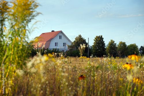 Summer Field and village house