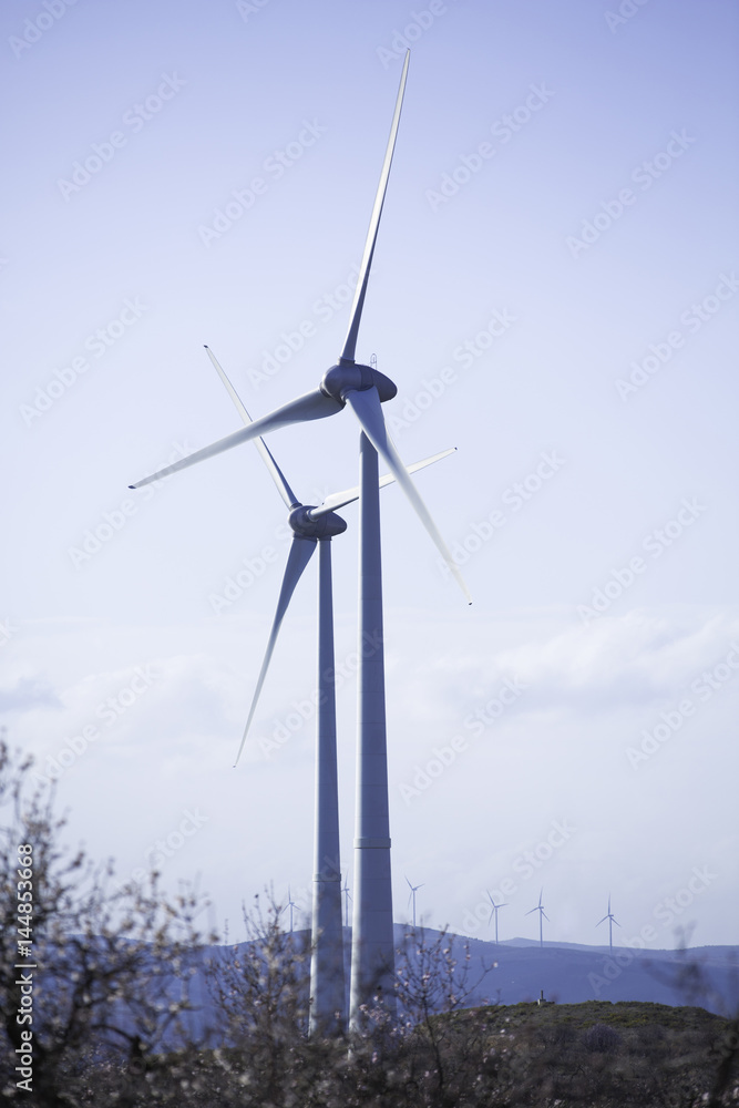 Eco power, wind turbines Eco power, wind turbines