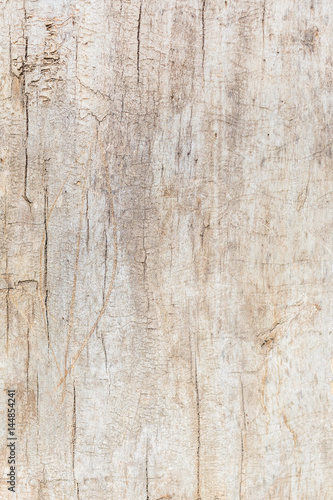 Old wood texture background
