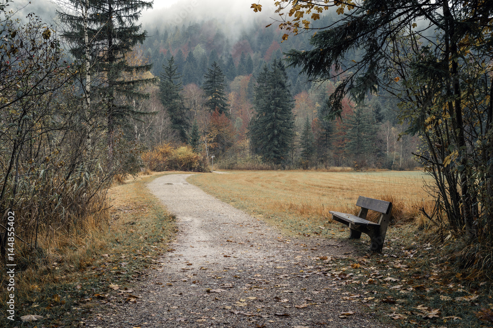Fussen, Bavaria, Germany. A walking trail near Lake Schwansee to the autumn forest