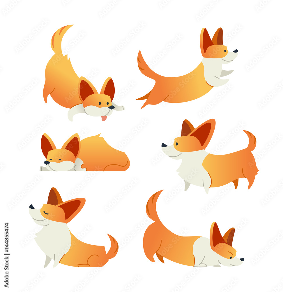 Dog - modern vector set of flat illustrations.