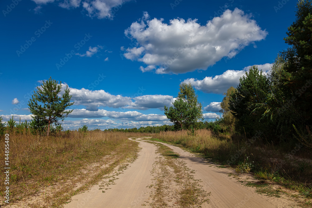 Road, trees, meadow against a blue sky with white clouds Road, trees, meadow against a blue sky with white clouds