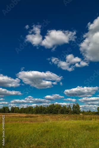 Meadow  trees against a blue sky with white clouds